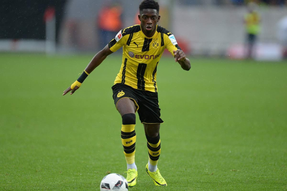 们的才华 们的才华